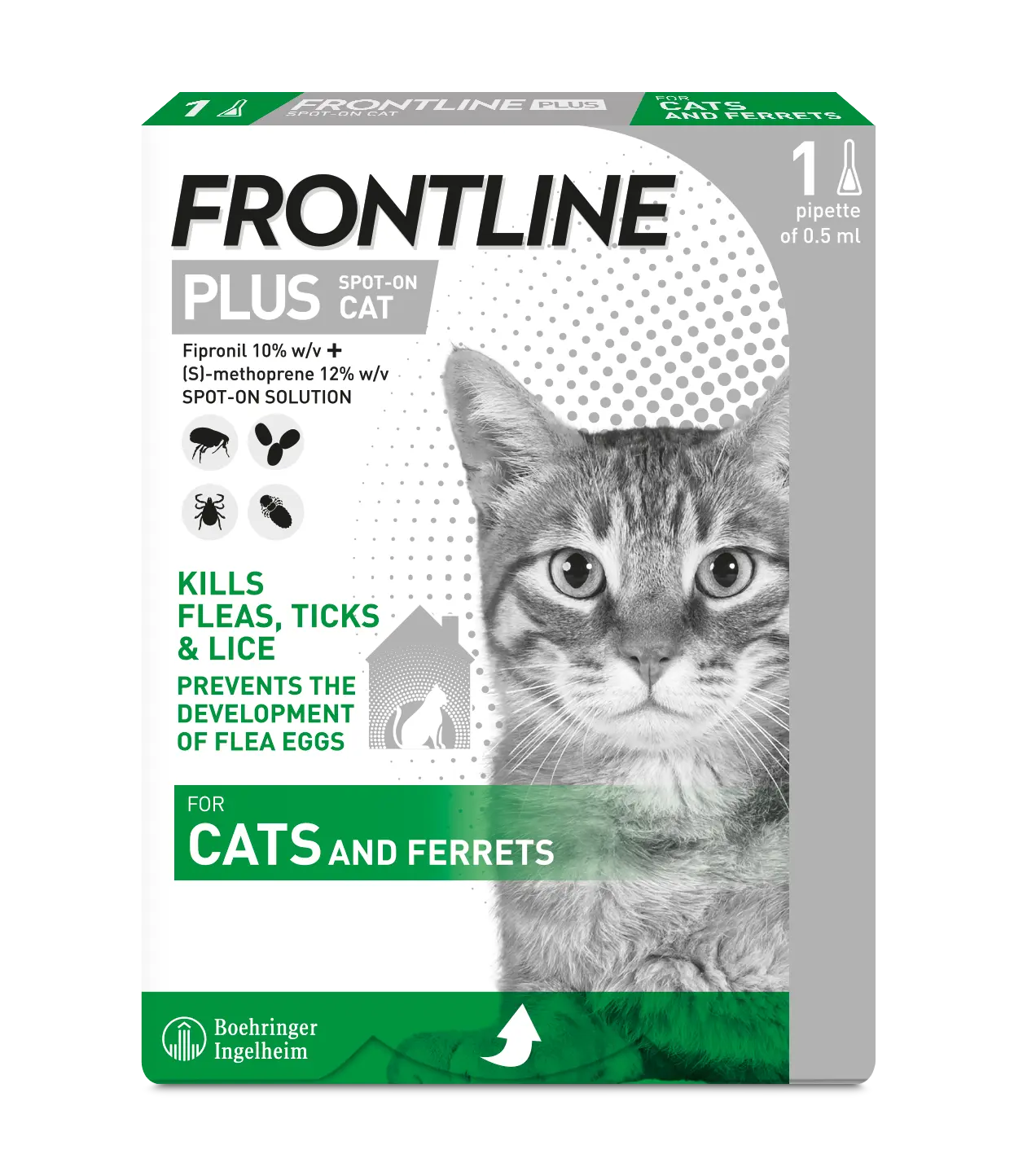 FRONTLINE-PLUS for cat uk