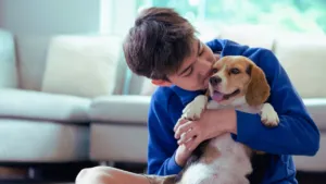 Is Buying Pet Medicines Online Safe